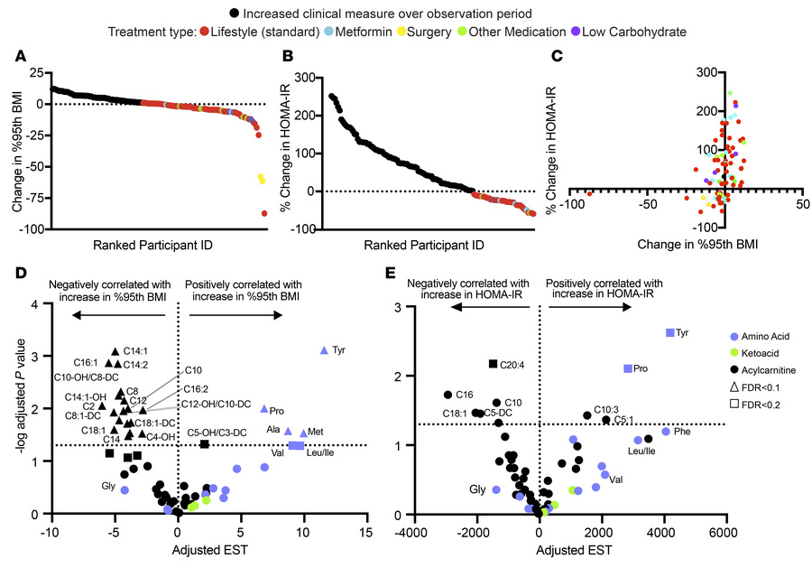 Serum aromatic amino acids increase with BMI and HOMA-IR scores over the...