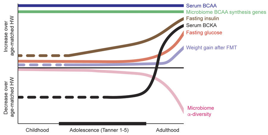 Obesity in adolescence is characterized by unique transitional metabolom...