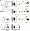 Branched chain amino acids (BCAA) and related metabolite levels are sex dep