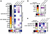 Sex-dependent differences in serum ketoacids are less evident in younger ch