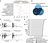 Several gut microbial taxa and predicted enzymatic functions are associated