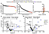 Serum aromatic amino acids increase with BMI and HOMA-IR scores over the 6