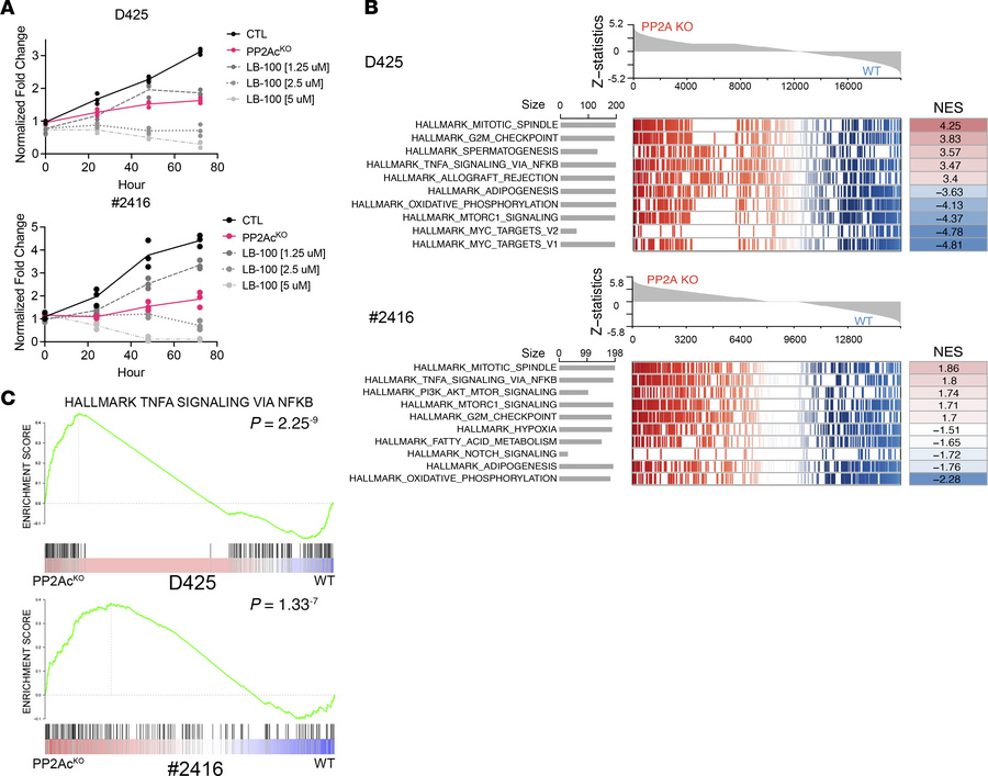 PP2A negatively regulates cell proliferation and the NF-κB signaling pat...