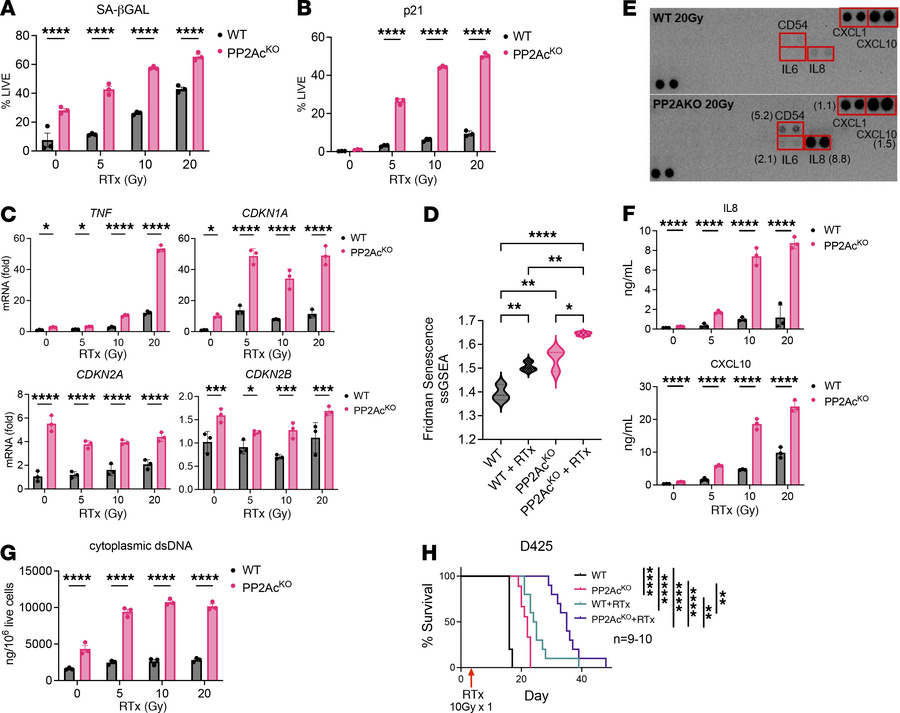 PP2Ac deficiency enhances radiation-induced senescence and immune-stimul...