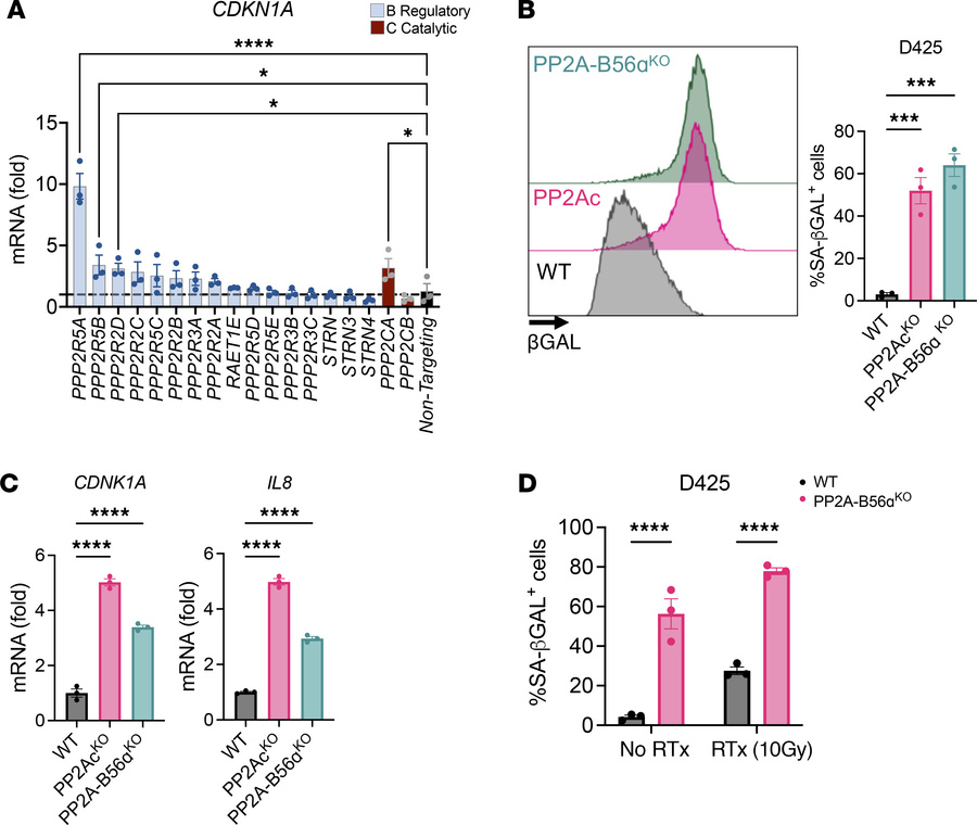 Regulatory subunit PPP2R5A (PP2A-B56α) negatively regulates senescence i...