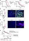 PP2Ac deficiency promotes tumor cell senescence and prolongs survival in MB
