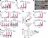 PP2Ac deficiency enhances radiation-induced senescence and immune-stimulato