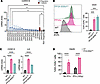 Regulatory subunit PPP2R5A (PP2A-B56α) negatively regulates senescence in M