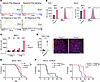 PP2Ac deficiency enhances immunogenic senescence in MB tumors.