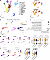Low PPP2CA and PPP2R1B activity is associated with an immunogenic senescenc