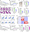 Engyodontium exacerbates mouse colitis through the Dectin-2/CARD9 pathway.