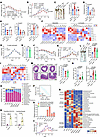 Dectin-2/calprotectin axis restricts intestinal colonization of L.j. WXY, w