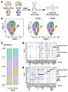 Validation of IFN-related signaling pathways in human PBMC samples of ische
