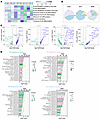 Biological functions of B lymphocytes based on transcriptional characterist