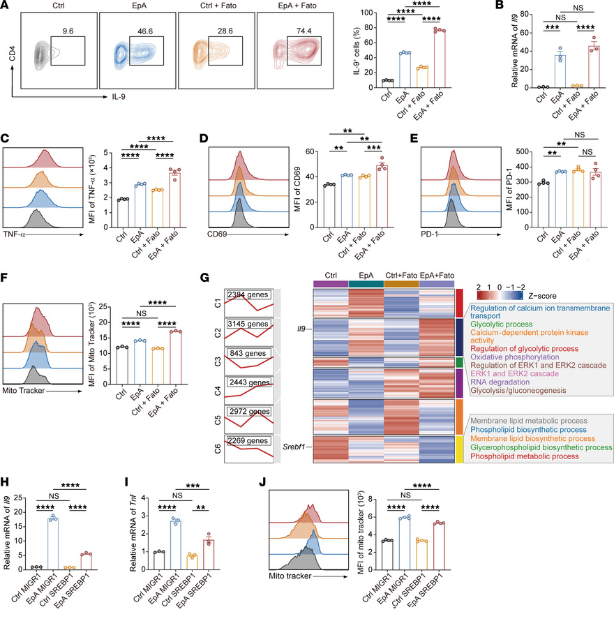 SREBP1 inhibition potentiates the immunometabolic effects of EpA in Th9 ...