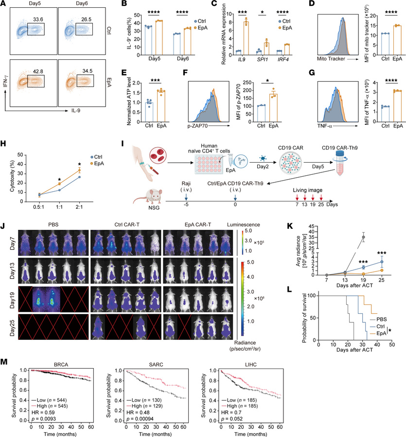EpA promotes human Th9 cell differentiation and enhances the antitumor a...