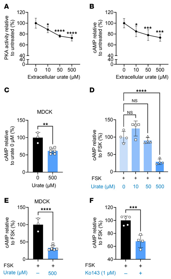Urate-induced AQP2 translocation is independent of PKA activity and intr...
