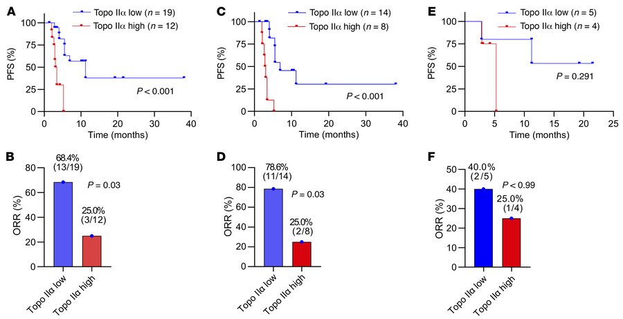 Topo IIα protein expression correlates with PFS and ORR in the overall c...