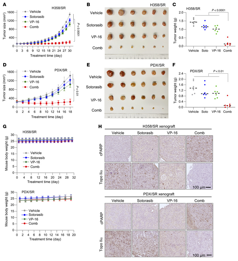 KRAS G12C mutant tumors with acquired resistance to KRAS G12C inhibitors...