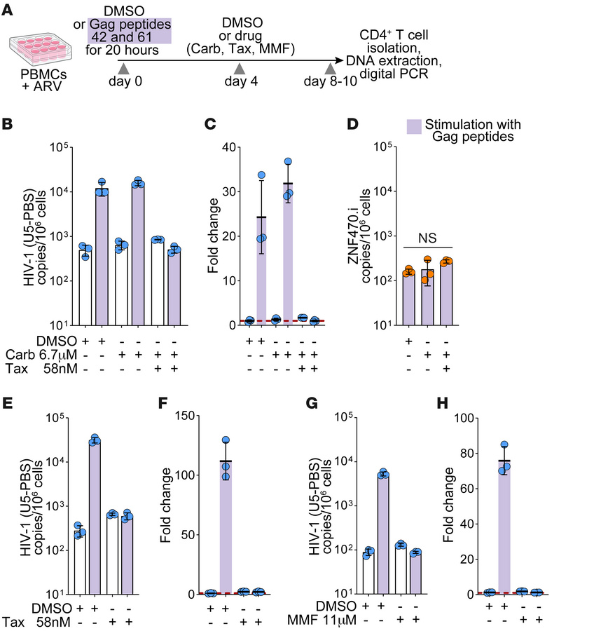 Antiproliferative drugs abrogate the proliferation of HIV-1–infected cel...
