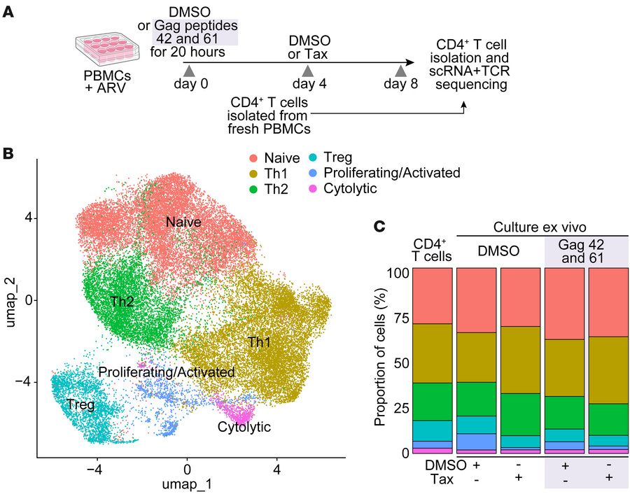 Single-cell analysis of CD4+ T cells treated with paclitaxel.
(A) Schema...