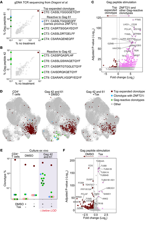 Paclitaxel selectively affects the proliferation of cells responding to ...
