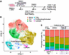 Single-cell analysis of CD4+ T cells treated with paclitaxel.