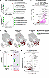 Paclitaxel selectively affects the proliferation of cells responding to ant