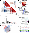 Developmentally regulated AS-NMD in the human brain.