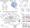 Validation of AS-NMD exons in human iPSC-derived neurons.