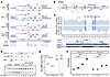 Upregulation of GRIA2 expression by suppressing a poison exon.