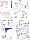 Association of IR with the MFG transcriptome during SA.