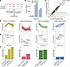 Effect of insulin on the MCF-12A cell transcriptome.