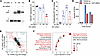 Effect of Akt knockdown on insulin-mediated differential gene expression.