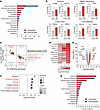 Effect of insulin on mitochondrial gene expression in cultured mammary cell