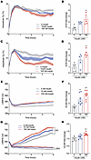 Bioenergetic effects of insulin in cultured mammary cells.