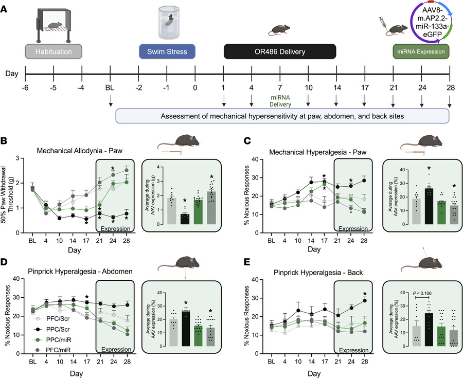 Adipose-specific overexpression of miR-133a-3p reversed multisite mechan...
