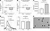 Adrenergic receptor stimulation caused miR-133a-3p downregulation in both p