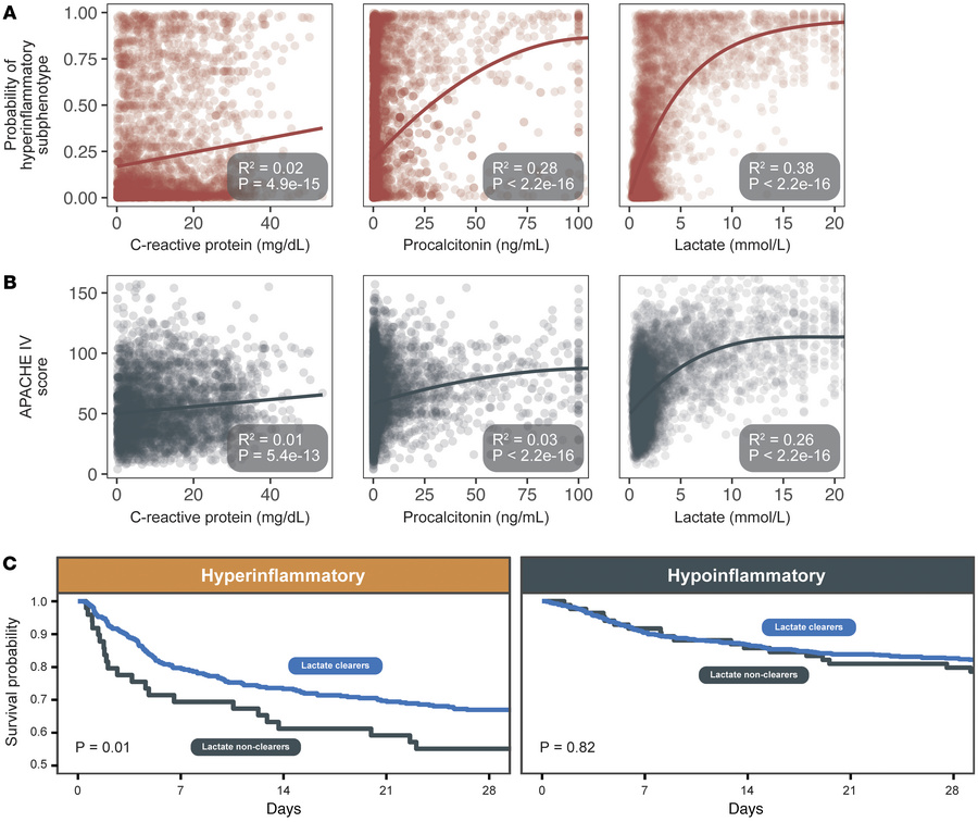 Hyperinflammatory subphenotype is associated with biomarkers of acute ba...