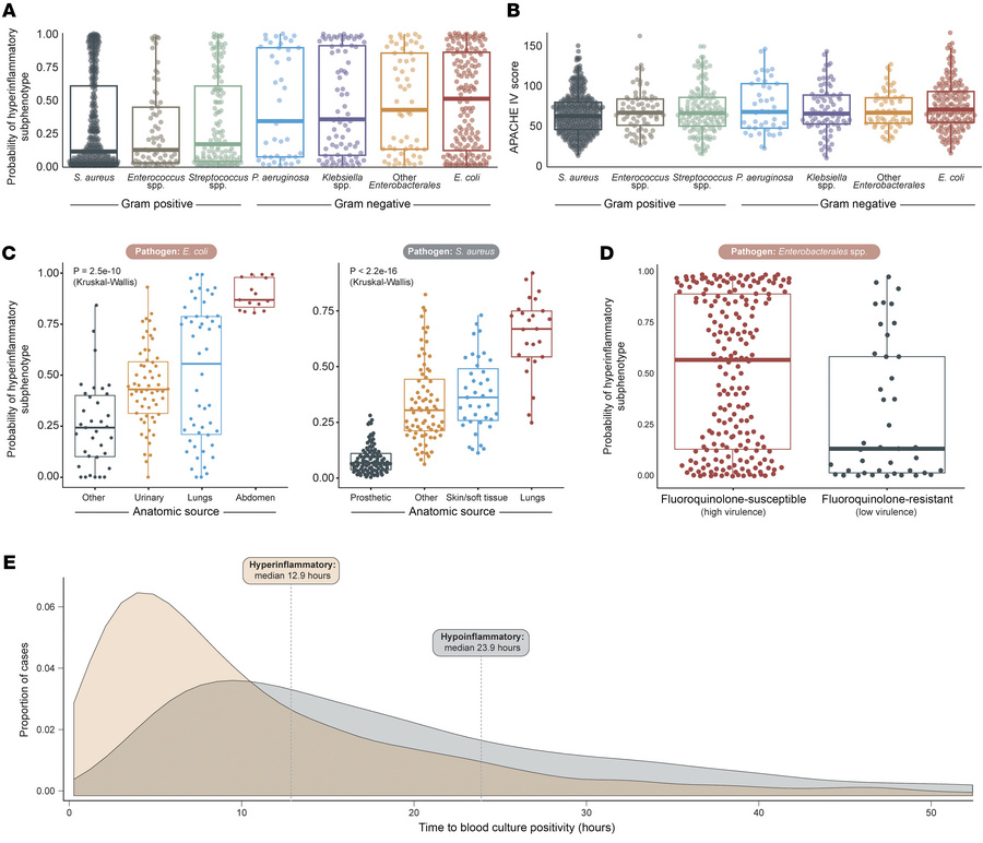 Hyperinflammatory subphenotype is predicted by pathogen features.
(A) Am...