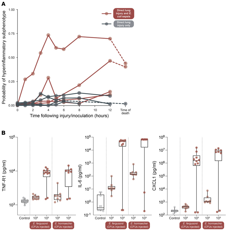 In animal models of ARDS and sepsis, hyperinflammatory biomarkers are pr...
