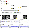 Liquid biopsy during and/or after completion of therapy.