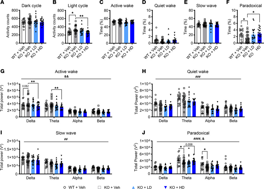 P10 IT delivery of AAV9/SLC13A5 rescues altered EEG sleep signatures in ...