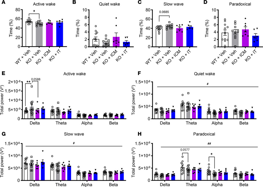 AAV9/SLC13A5 treatment in adult Slc13a5-KO mice ameliorates sleep abnorm...