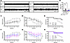 ICM delivery of AAV9/SLC13A5 has greater rescue of epileptic phenotypes com