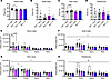 AAV9/SLC13A5 treatment in adult Slc13a5-KO mice ameliorates sleep abnormali