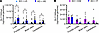Biodistribution of AAV9/SLC13A5 following CSF delivery in Slc13a5-KO mice.