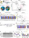 Hepatic lipid profile is remodeled by GSH depletion.