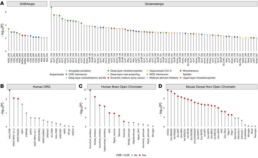 Cell-type enrichments for chronic pain.
Cell-type numbers are denoted on...