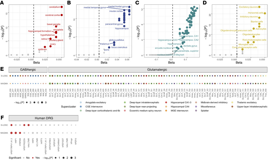 Comparison of MAGMA and S-LDSC cell-type enrichment analysis.
(A–D) MAGM...